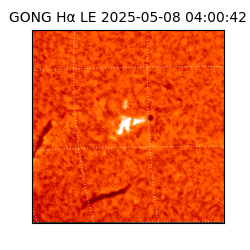 gong - 2025-05-08T04:00:42
