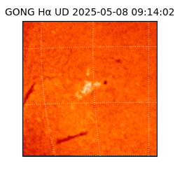 gong - 2025-05-08T09:14:02