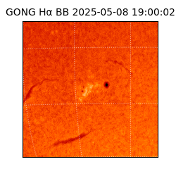 gong - 2025-05-08T19:00:02