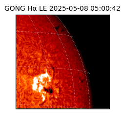 gong - 2025-05-08T05:00:42