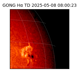 gong - 2025-05-08T08:00:23
