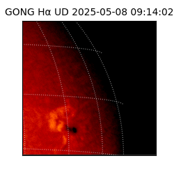 gong - 2025-05-08T09:14:02