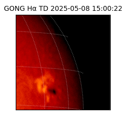 gong - 2025-05-08T15:00:22
