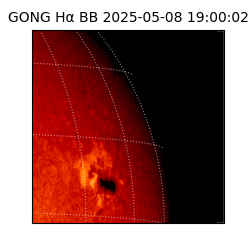 gong - 2025-05-08T19:00:02