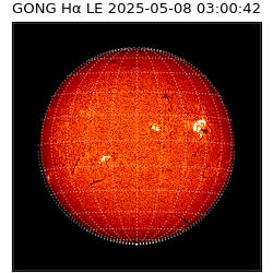 gong - 2025-05-08T03:00:42