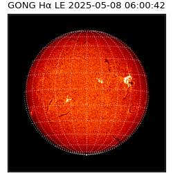 gong - 2025-05-08T06:00:42