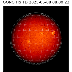 gong - 2025-05-08T08:00:23