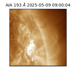 saia - 2025-05-09T09:00:04.835000