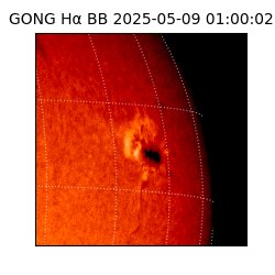 gong - 2025-05-09T01:00:02