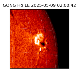 gong - 2025-05-09T02:00:42