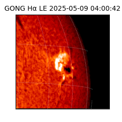 gong - 2025-05-09T04:00:42