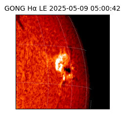 gong - 2025-05-09T05:00:42