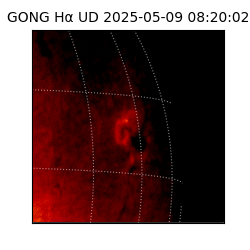 gong - 2025-05-09T08:20:02