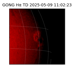 gong - 2025-05-09T11:02:23