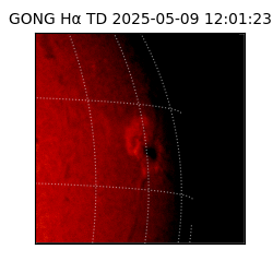 gong - 2025-05-09T12:01:23