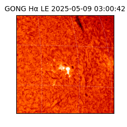 gong - 2025-05-09T03:00:42