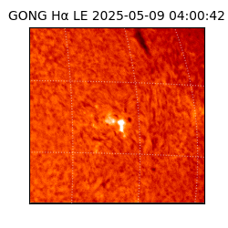 gong - 2025-05-09T04:00:42