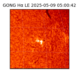 gong - 2025-05-09T05:00:42
