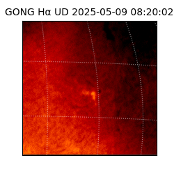 gong - 2025-05-09T08:20:02