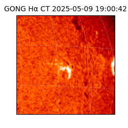 gong - 2025-05-09T19:00:42