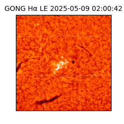gong - 2025-05-09T02:00:42