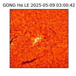 gong - 2025-05-09T03:00:42