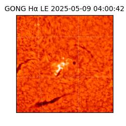 gong - 2025-05-09T04:00:42