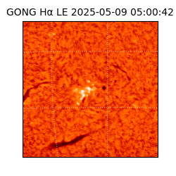 gong - 2025-05-09T05:00:42