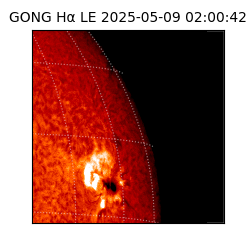 gong - 2025-05-09T02:00:42