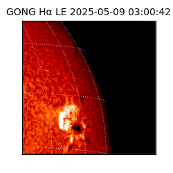 gong - 2025-05-09T03:00:42