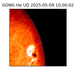 gong - 2025-05-09T10:00:02