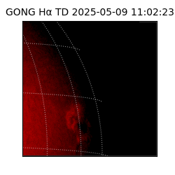 gong - 2025-05-09T11:02:23