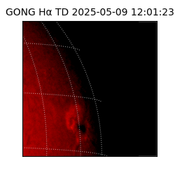 gong - 2025-05-09T12:01:23