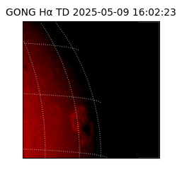 gong - 2025-05-09T16:02:23