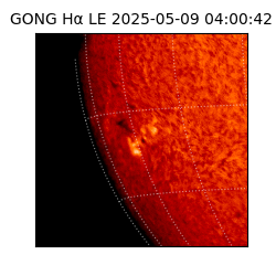 gong - 2025-05-09T04:00:42