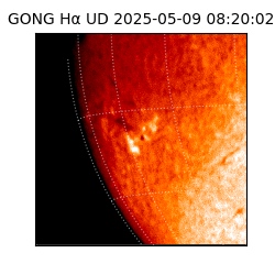 gong - 2025-05-09T08:20:02