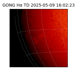 gong - 2025-05-09T16:02:23