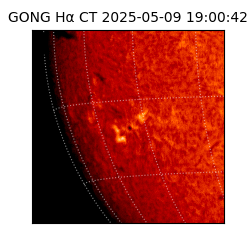 gong - 2025-05-09T19:00:42