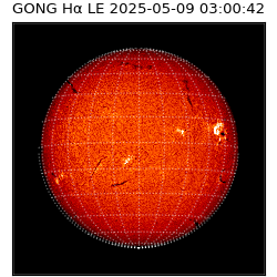 gong - 2025-05-09T03:00:42
