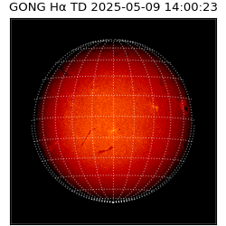 gong - 2025-05-09T14:00:23