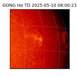 gong - 2025-05-10T08:00:23