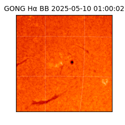 gong - 2025-05-10T01:00:02