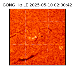 gong - 2025-05-10T02:00:42