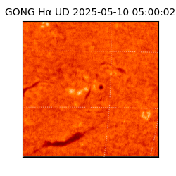gong - 2025-05-10T05:00:02