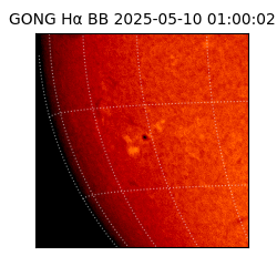 gong - 2025-05-10T01:00:02