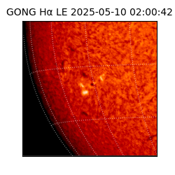 gong - 2025-05-10T02:00:42