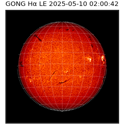 gong - 2025-05-10T02:00:42