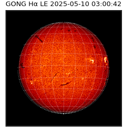 gong - 2025-05-10T03:00:42