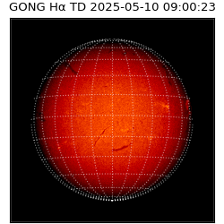 gong - 2025-05-10T09:00:23