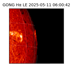 gong - 2025-05-11T06:00:42